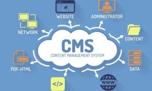 استخدام نظام إدارة محتوى (CMS)